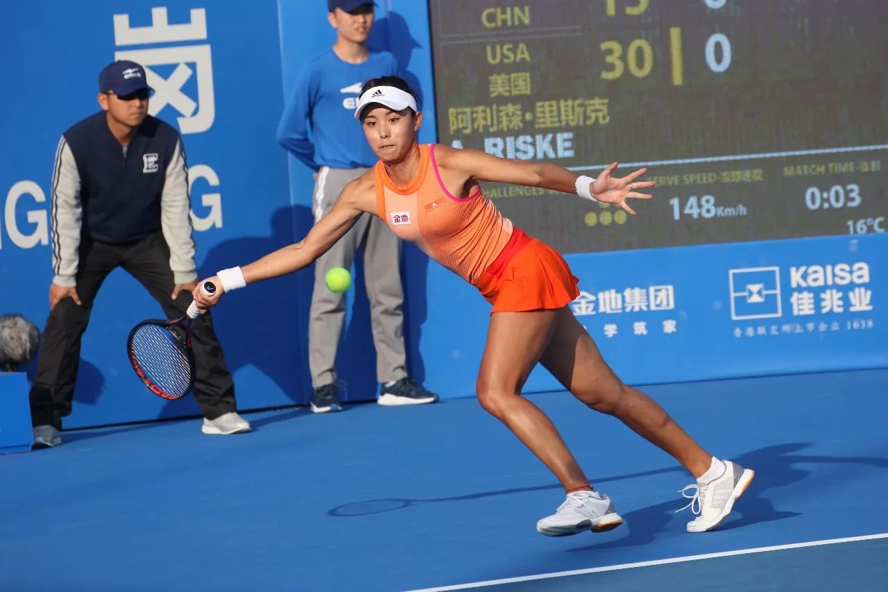 巴西政府的 巴西政府的